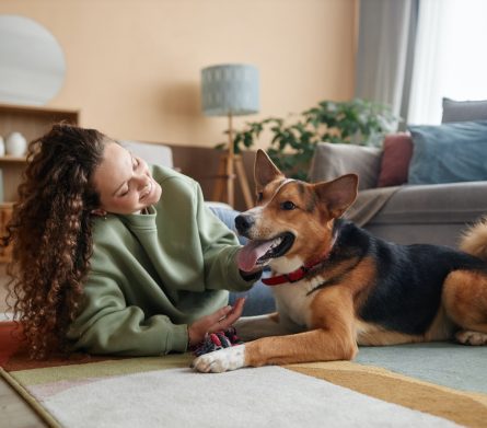 Happy Girl Playing with Dog Lying on Floor in Home